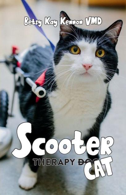 Scooter Book Cover