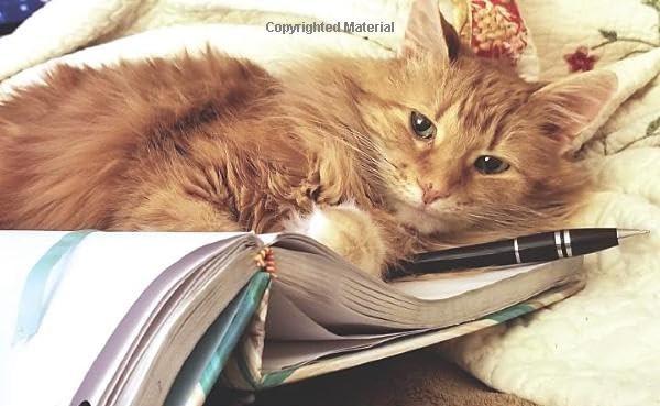 Ginger the Cat Reading a Book